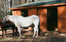 Two horses in front of a pen