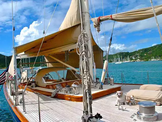 A luxurious sailboat docked in clear blue waters, featuring tan sails and a relaxing deck with a scenic view of the shoreline.